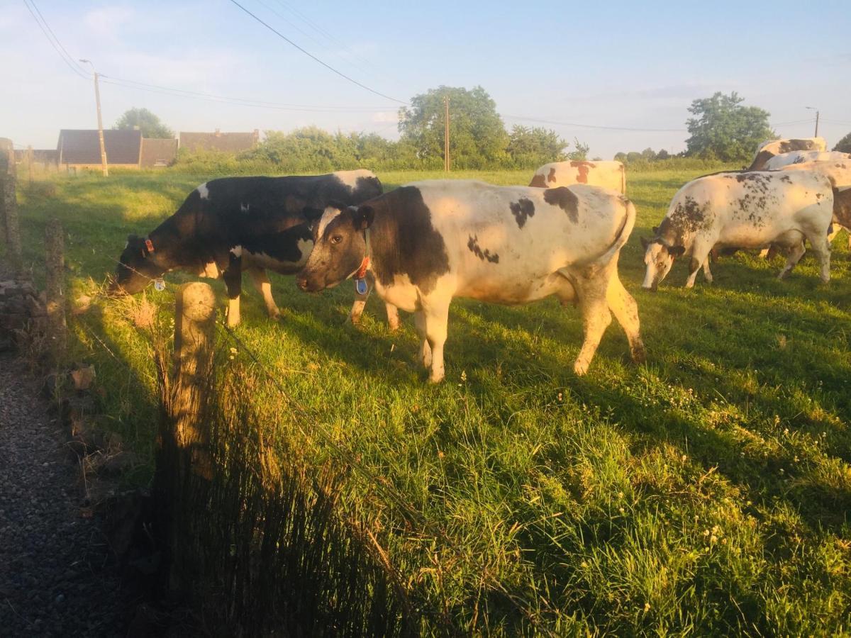 Aux Pieds Des Vaches Panzió Charneux Kültér fotó